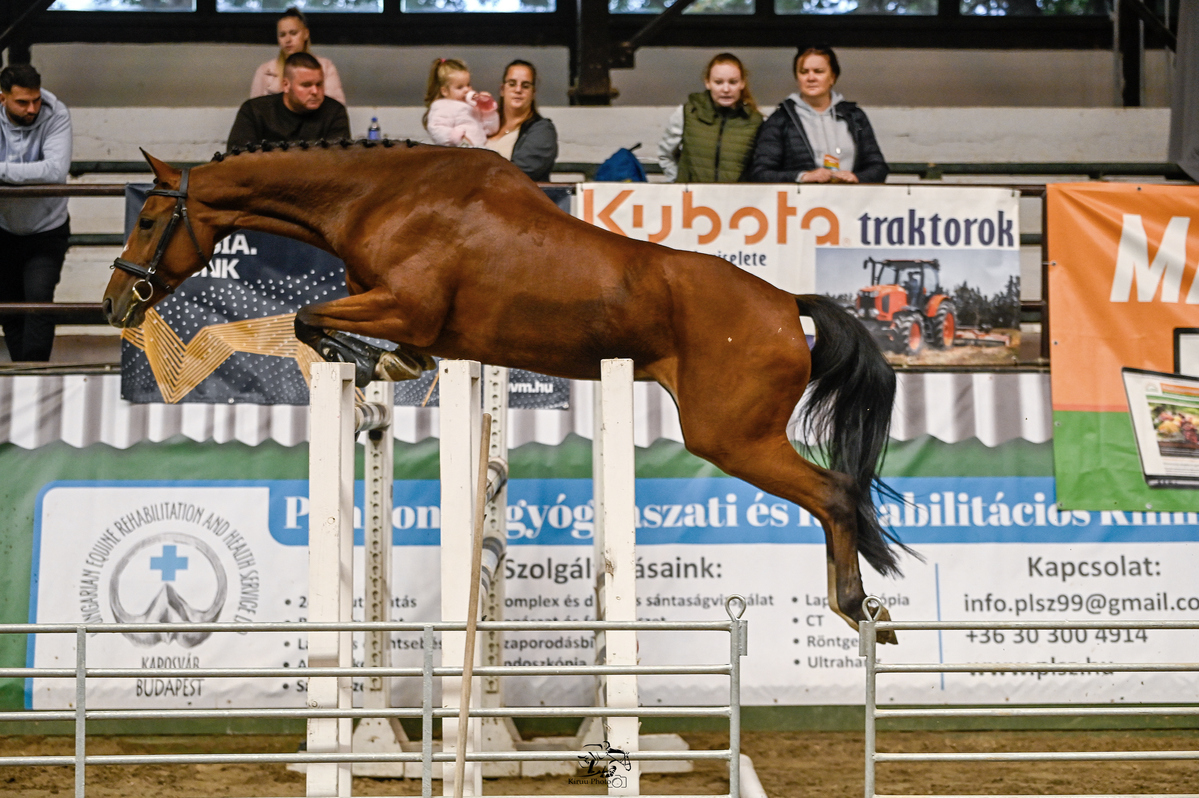 Jackson July a szabadonugró bemutatón